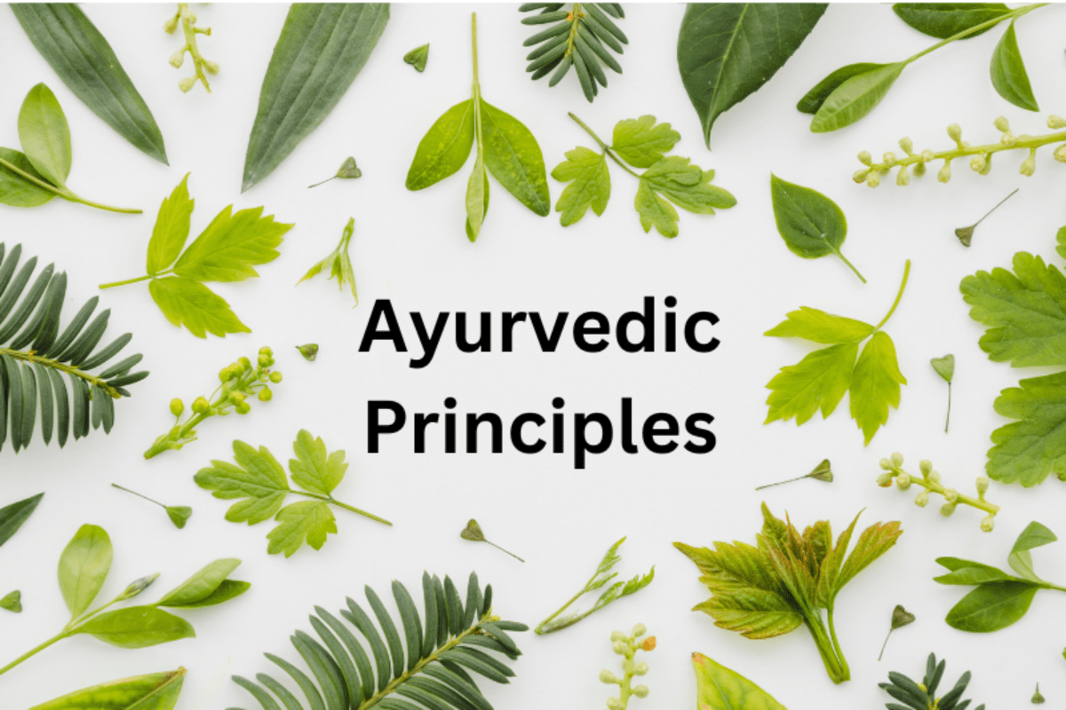 What Is Ayurveda? And It's Principles - Ayurvedic Home Remedy