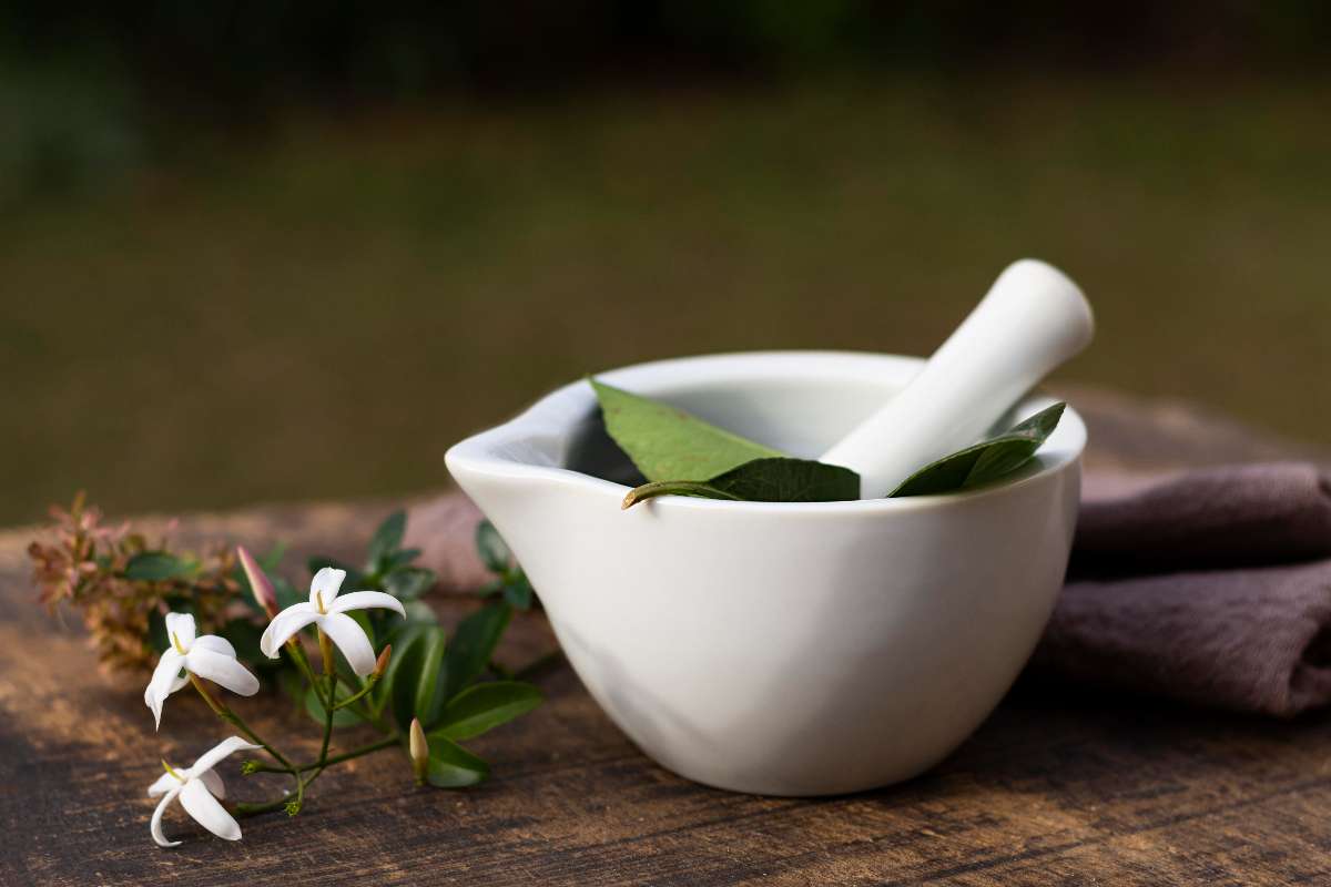 A white bowl filled with Ayurvedic herbs.